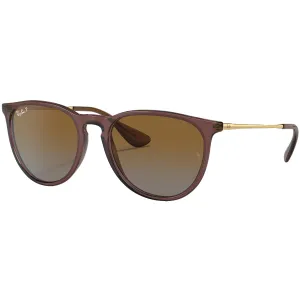 Ray-Ban Erika Classic Polarized Sunglasses - Polished Transparent Dark Brown/Brown